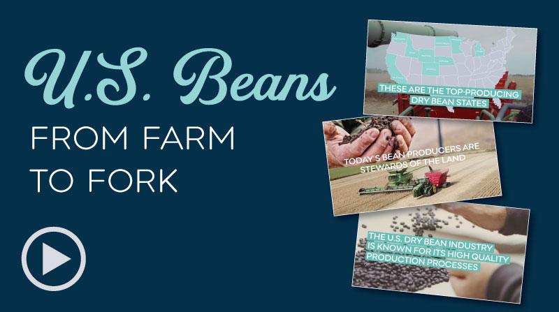 Beans from farm to fork